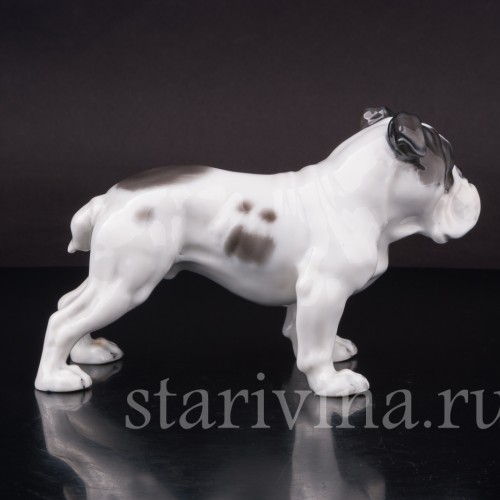 Статуэтка собаки из фарфора Английский бульдог, Rosenthal, Германия, 1950 гг.