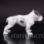 Статуэтка собаки из фарфора Английский бульдог, Rosenthal, Германия, 1950 гг.