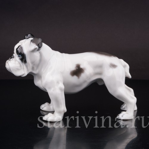 Статуэтка собаки из фарфора Английский бульдог, Rosenthal, Германия, 1950 гг.