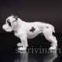 Статуэтка собаки из фарфора Английский бульдог, Rosenthal, Германия, 1950 гг.