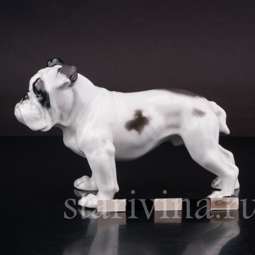 Статуэтка собаки из фарфора Английский бульдог, Rosenthal, Германия, 1950 гг.