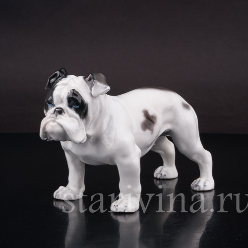 Статуэтка собаки из фарфора Английский бульдог, Rosenthal, Германия, 1950 гг.