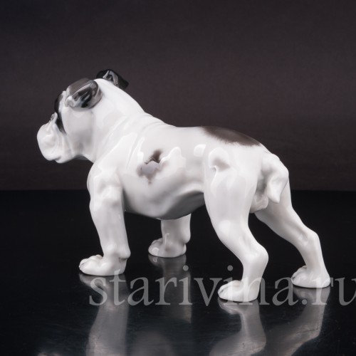 Статуэтка собаки из фарфора Английский бульдог, Rosenthal, Германия, 1950 гг.