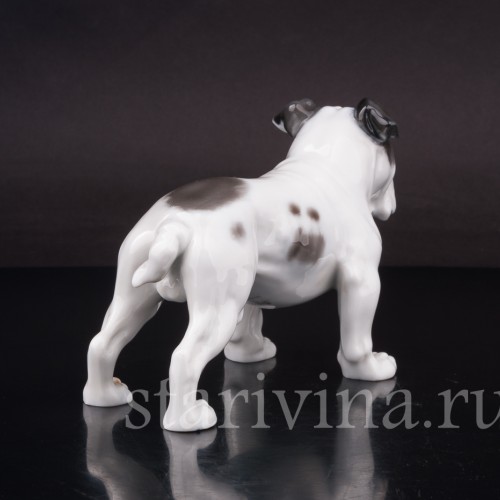 Статуэтка собаки из фарфора Английский бульдог, Rosenthal, Германия, 1950 гг.