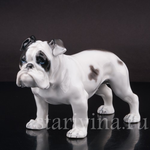 Статуэтка собаки из фарфора Английский бульдог, Rosenthal, Германия, 1950 гг.