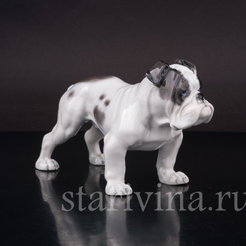 Статуэтка собаки из фарфора Английский бульдог, Rosenthal, Германия, 1950 гг.
