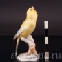 Фигурка птицы из фарфора Канарейка Hutschenreuther, Германия, 1970 гг.