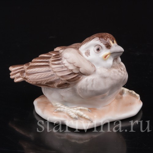 Фигурка птицы из фарфора Птенец воробья Augarten, Австрия, вт. пол. 20 в.