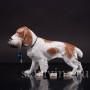 Фарфоровая статуэтка собаки Спаниель с селезнем, Rosenthal, Германия, 1950-60 гг.