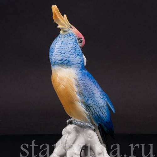 Статуэтка птицы из фарфора Попугай синий какаду, Karl Ens, Германия, пер. пол. 20 в.
