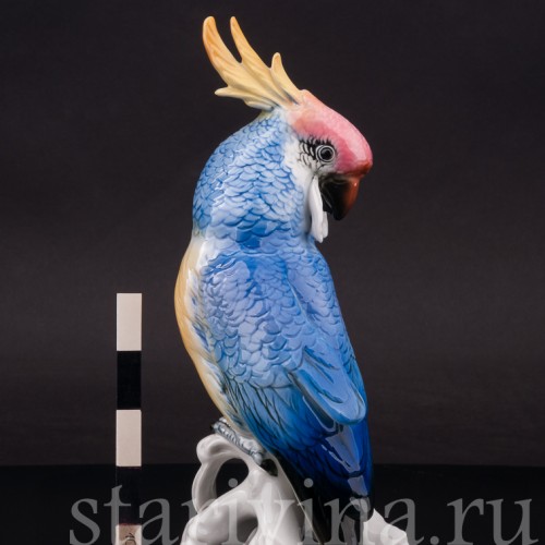 Статуэтка птицы из фарфора Попугай синий какаду, Karl Ens, Германия, пер. пол. 20 в.