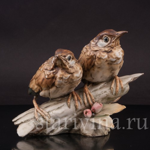 Фигурка птиц из фарфора Птенцы чёрного дрозда Tay, Италия, сер. 20 века.