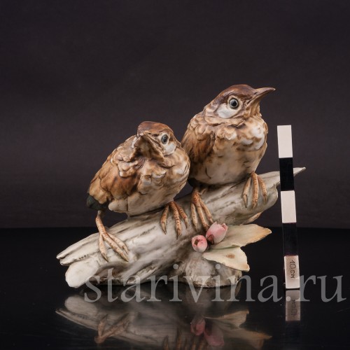 Фигурка птиц из фарфора Птенцы чёрного дрозда Tay, Италия, сер. 20 века.