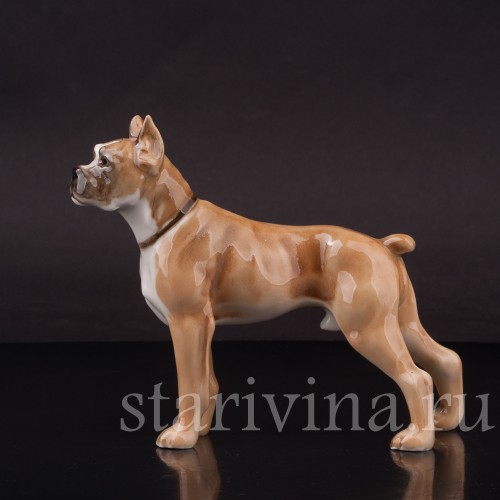 Фарфоровая фигурка собаки Боксёр, Hutschenreuther, Германия, 1960 гг.
