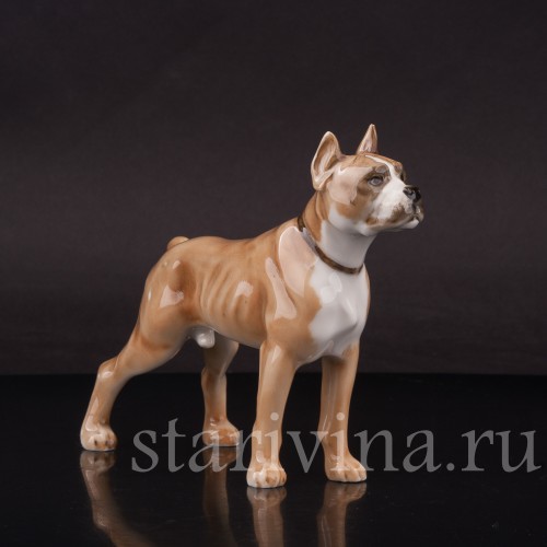 Фарфоровая фигурка собаки Боксёр, Hutschenreuther, Германия, 1960 гг.