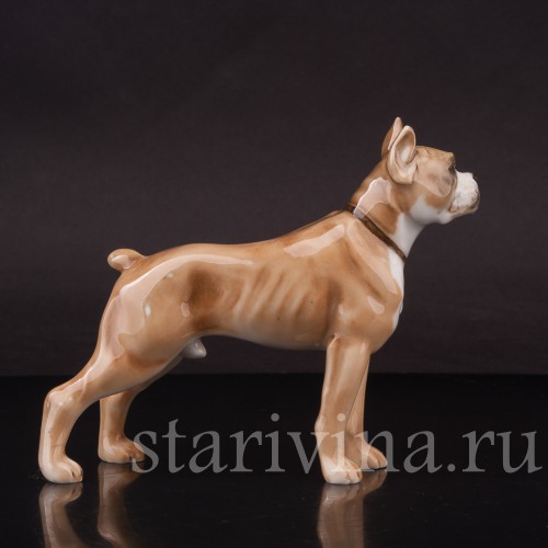 Фарфоровая фигурка собаки Боксёр, Hutschenreuther, Германия, 1960 гг.