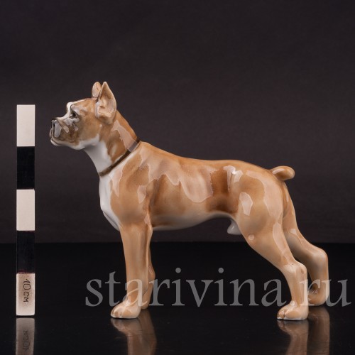 Фарфоровая фигурка собаки Боксёр, Hutschenreuther, Германия, 1960 гг.