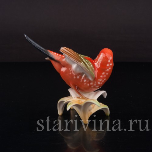 Статуэтка птицы из фарфора Красная амадина, Hutschenreuther, Германия, 1970 гг.
