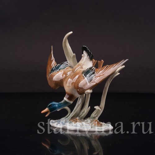 Фарфоровая фигурка птицы Летящий селезень, миниатюра, Hutschenreuther, Германия, 1970 гг.