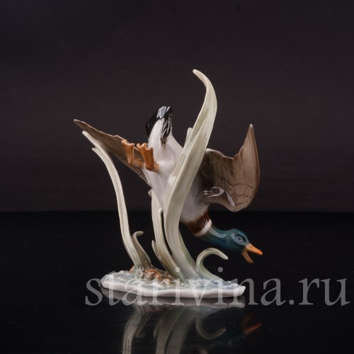 Фарфоровая фигурка птицы Летящий селезень, миниатюра, Hutschenreuther, Германия, 1970 гг.