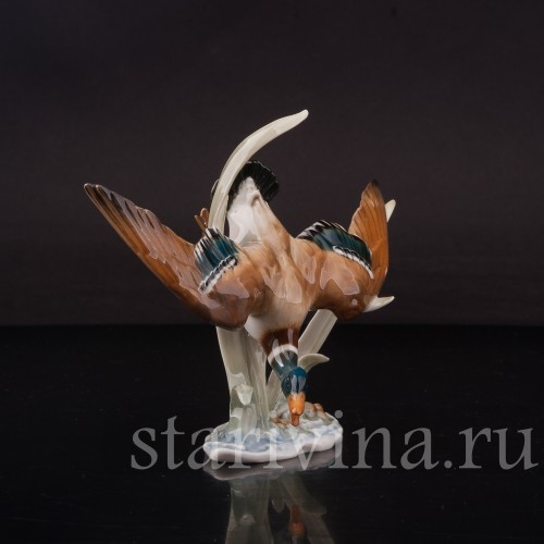 Фарфоровая фигурка птицы Летящий селезень, миниатюра, Hutschenreuther, Германия, 1970 гг.