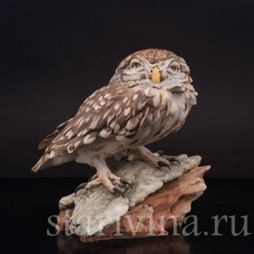 Фигурка птицы из фарфора Домовой сычик, Tay, Италия, сер. 20 в.