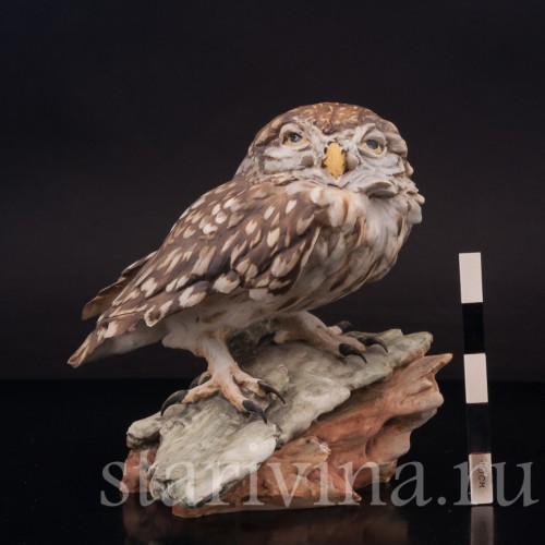 Фигурка птицы из фарфора Домовой сычик, Tay, Италия, сер. 20 в.