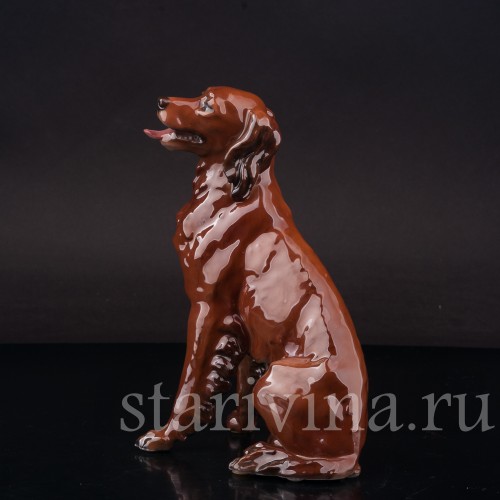 Статуэтка собаки из фарфора Ирладский сеттер, Rosenthal, Германия, 1944 год.