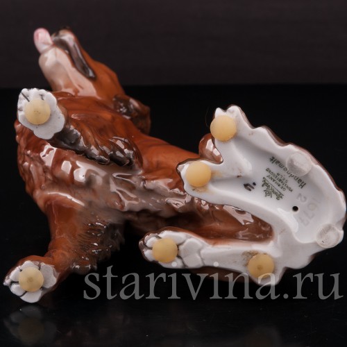 Статуэтка собаки из фарфора Ирладский сеттер, Rosenthal, Германия, 1944 год.