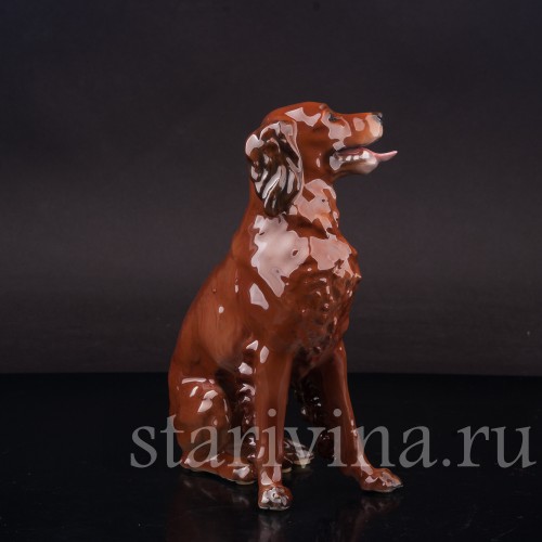 Статуэтка собаки из фарфора Ирладский сеттер, Rosenthal, Германия, 1944 год.