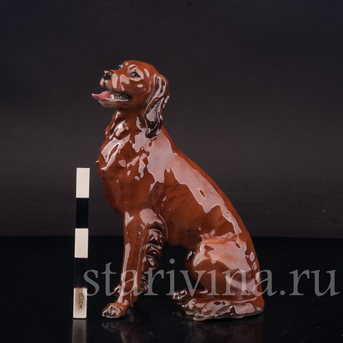 Статуэтка собаки из фарфора Ирладский сеттер, Rosenthal, Германия, 1944 год.