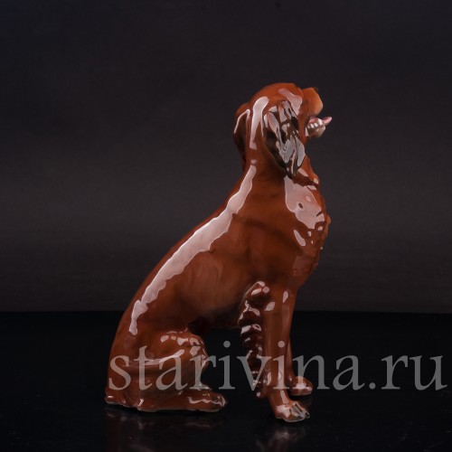 Статуэтка собаки из фарфора Ирладский сеттер, Rosenthal, Германия, 1944 год.