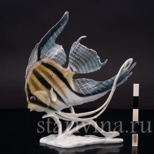 Фарфоровая фигурка рыбы Скалярия, Rosenthal, Германия, 1950 гг.