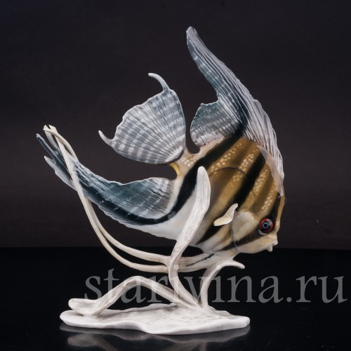 Фарфоровая фигурка рыбы Скалярия, Rosenthal, Германия, 1950 гг.