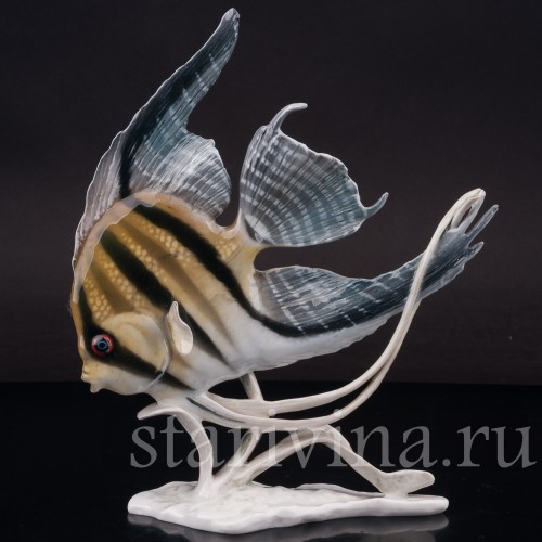 Фарфоровая фигурка рыбы Скалярия, Rosenthal, Германия, 1950 гг.