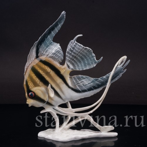 Фарфоровая фигурка рыбы Скалярия, Rosenthal, Германия, 1950 гг.