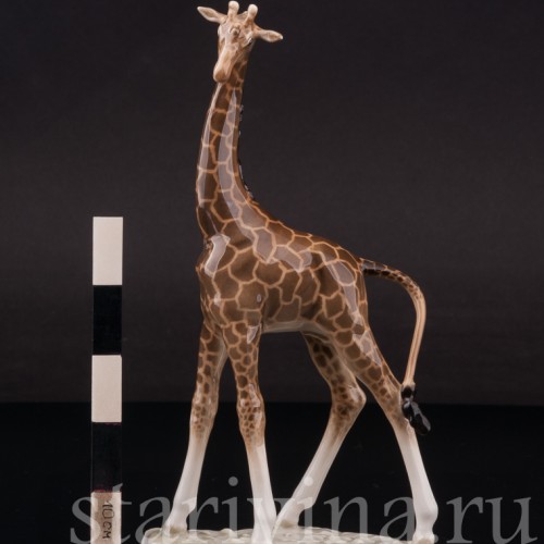 Фарфоровая фигурка Жираф, миниатюра, Hutschenreuther, Германия, 1955-68 гг.