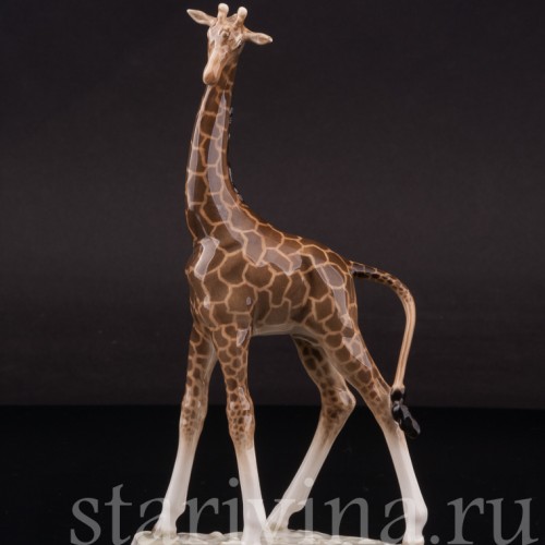 Фарфоровая фигурка Жираф, миниатюра, Hutschenreuther, Германия, 1955-68 гг.