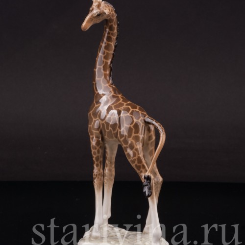 Фарфоровая фигурка Жираф, миниатюра, Hutschenreuther, Германия, 1955-68 гг.