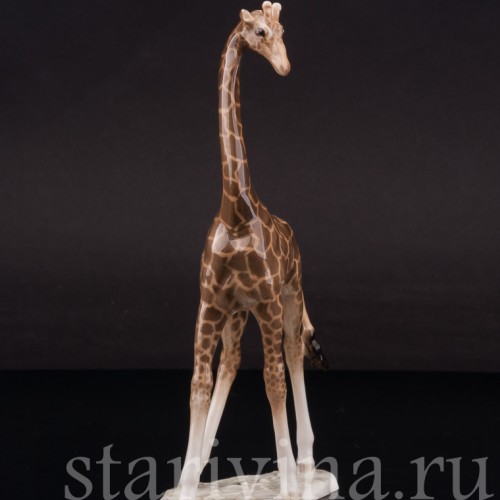 Фарфоровая фигурка Жираф, миниатюра, Hutschenreuther, Германия, 1955-68 гг.
