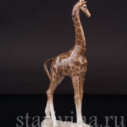 Фарфоровая фигурка Жираф, миниатюра, Hutschenreuther, Германия, 1955-68 гг.