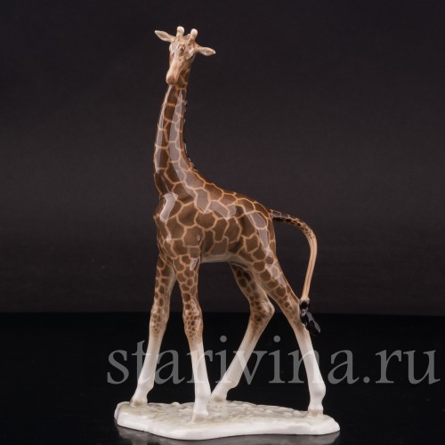 Фарфоровая фигурка Жираф, миниатюра, Hutschenreuther, Германия, 1955-68 гг.