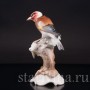 Фигурка птицы из фарфора Шегол, Hutschenreuther, Германия, 1955-69 гг.
