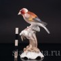Фигурка птицы из фарфора Шегол, Hutschenreuther, Германия, 1955-69 гг.