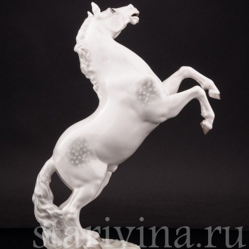 Фарфоровая статуэтка Конь на дыбах, Hutschenreuther, Германия, 1970-е гг.