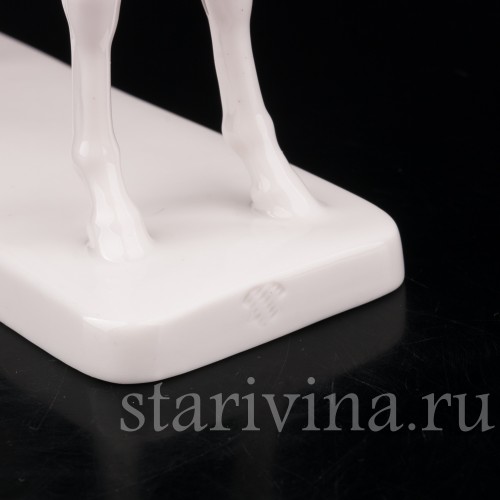 Конь, Nymphenburg, Германия