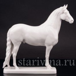 Конь, Nymphenburg, Германия 