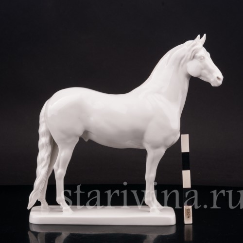 Конь, Nymphenburg, Германия