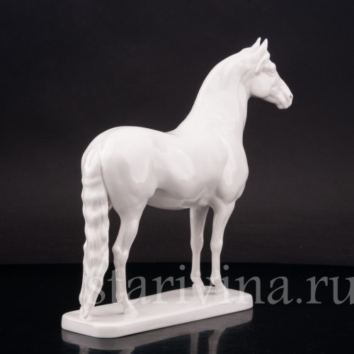 Конь, Nymphenburg, Германия