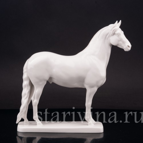 Конь, Nymphenburg, Германия